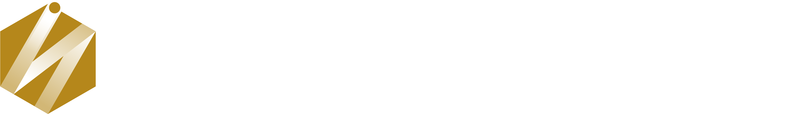 プロのカベウチ